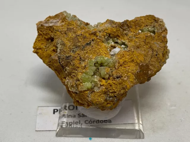 PIROMORFITA - Pyromorphite -San Andres, Cordoba SPAIN MINERAL METACRILATO 5x4x3