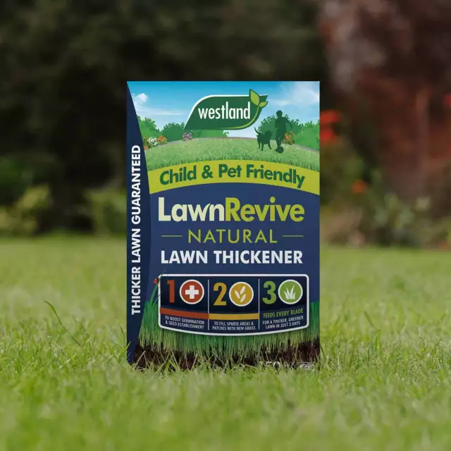 Westland LawnRevive Lawn Thickener 150sqm, Long lasting, Child & Pet Friendly