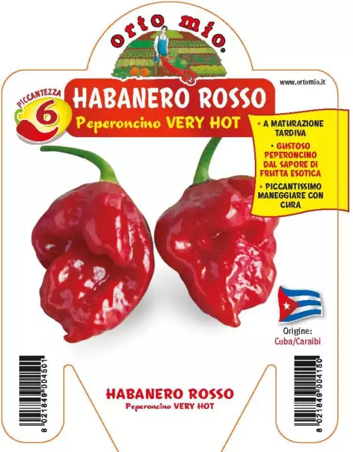 3 Plantas En Florero Ø10CM Por Chile Habanero Picante Rojo Huerta Ortomio