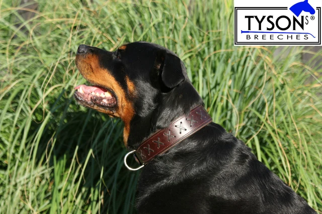 RICH Lederhalsband Für Hunde – Extra Breit, Punziert, Aus Rindsleder, Hohe Zugkraft, Größen M/L/XL