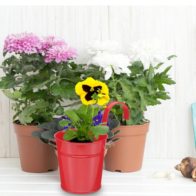 Wandpflanzer Blumentopf Zur Wandmontage Der Zaun Blumenstand