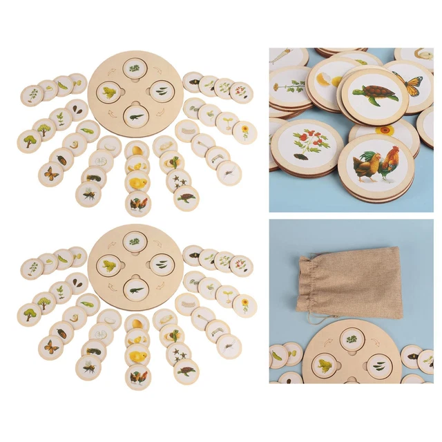 LIFE CYCLE TRAY Matching Game Learning toy for £24.97 - PicClick UK