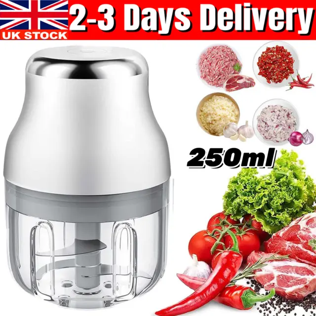 250ml Electric Chopper Garlic Grinder For Onion Ginger Chili Meat Vegetable Nut