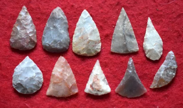 10 Sahara Neolithic misc. specialized tool forms. scrapper/blades