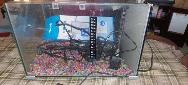 5 gallon complete top fin "Premier Glass" aquarium setup