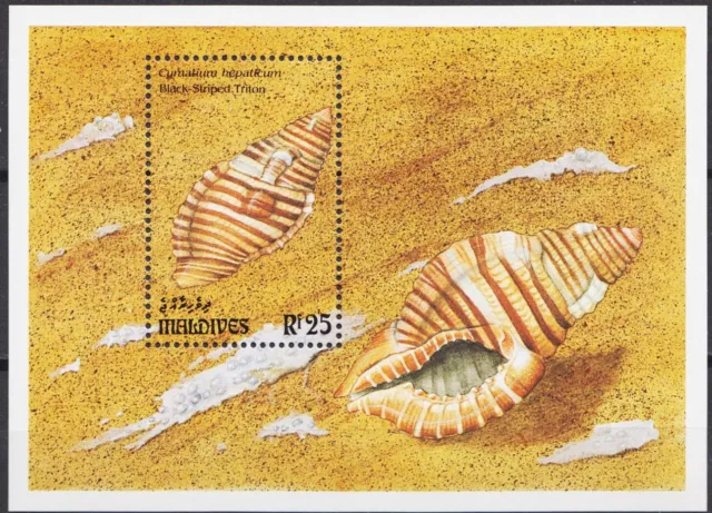 Maldives 1993 Sea Shells Marine Nature Molluscs Animals Wildlife m/s MNH