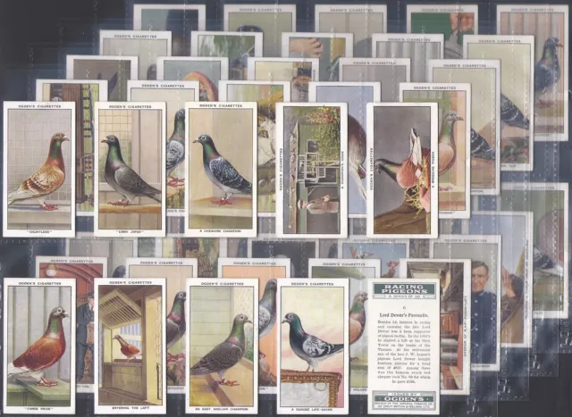 Ogdens-Full Set- Racing Pigeons 1931 (50 Cards) Excellent+++