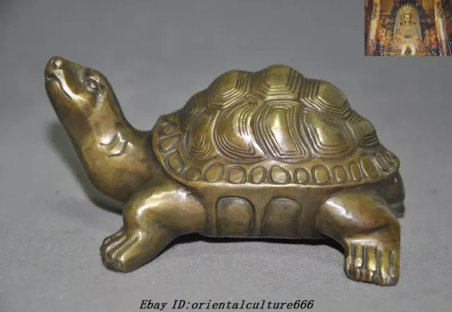 5"Old Chinese Fengshui Bronze longevity Auspicious Animal Turtle Tortoise Statue