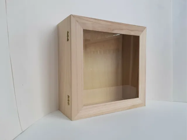 Wooden Box with glass front/door Memory Box for Cats and Dogs  12x12x5