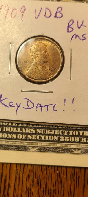 Brilliant Uncirculated 1909-P VDB Lincoln Cent Red specimen!  FREE SHIPPING!