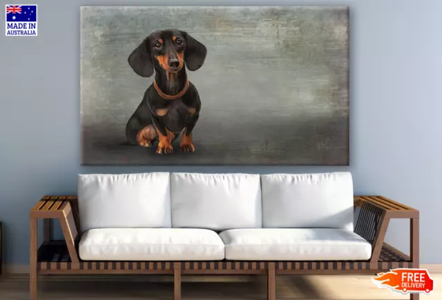 Dachshund Breed Dog Oil Painting Wall Canvas Home Decor Australian Made Quality