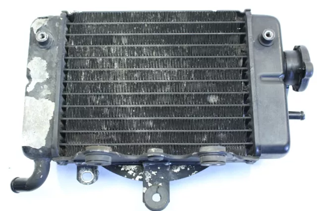 Honda Transalp XL 600 V PD06 PD10 Kühler rechts Wasserkühler Kühlung radiator