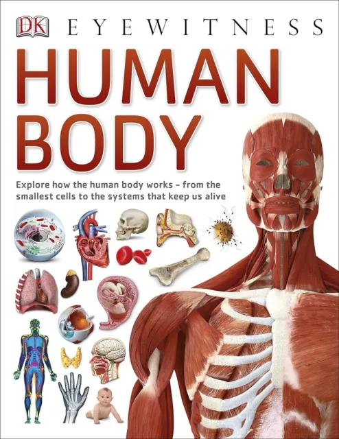 Human Body  DK Eyewitness Children's Book and Wallchart NEW age 9-12