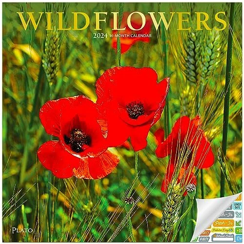 WILDFLOWERS CALENDAR 2024 Deluxe 2024 Flowers Wall Calendar Bundle
