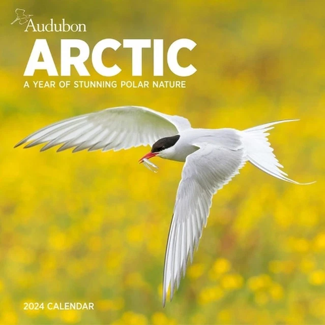 AUDUBON ARCTIC WALL Calendar 2024 A Year of Stunning Polar Nature by