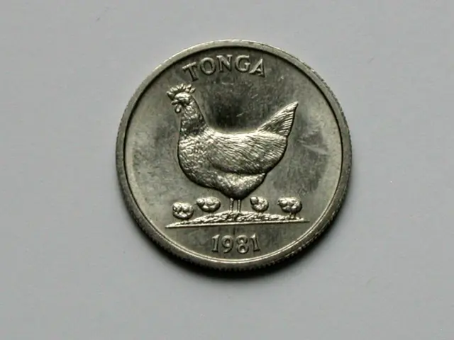 Tonga (South Pacific Island) 1981 5 SENITI Coin AU+ with Chicken & Baby Chicks