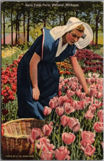 1940s Holland, Michigan Postcard NELLIS TULIP FARM Girl Picking Flowers / Linen