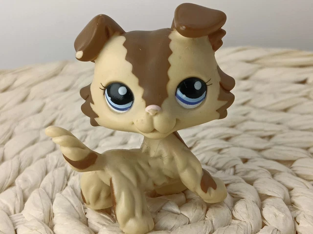 Figurine Littlest Pet Shop HASBRO Chien Colley #893, état Bon, Collection 83