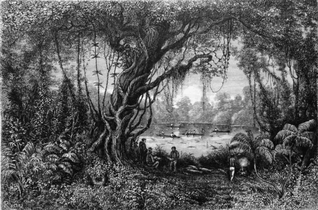 PÉROU - PÊCHE au BARBASCO (poison de pêche) sur le LAC de la PALTA - Gravure 19e