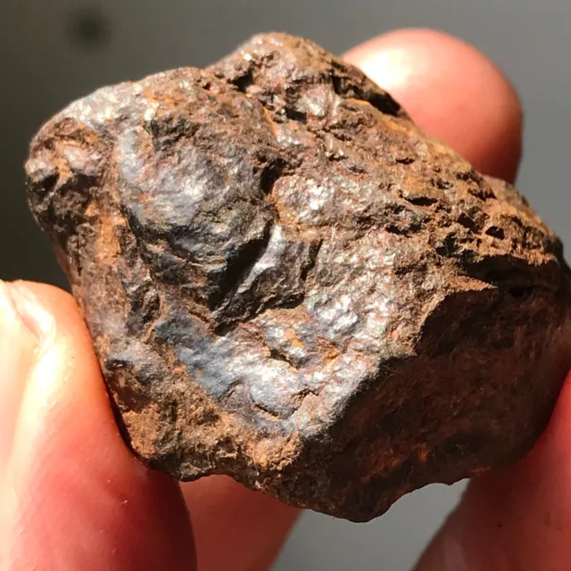 TOP Natural Aletai Iron Meteorite 42.3 Grams Original Stone Perfect Fusion Crust