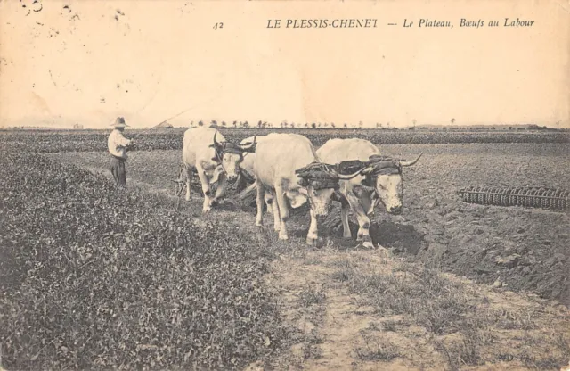 Cpa 91 Le Plessis Chenet / Le Plateau / Beef / Agriculture Scene