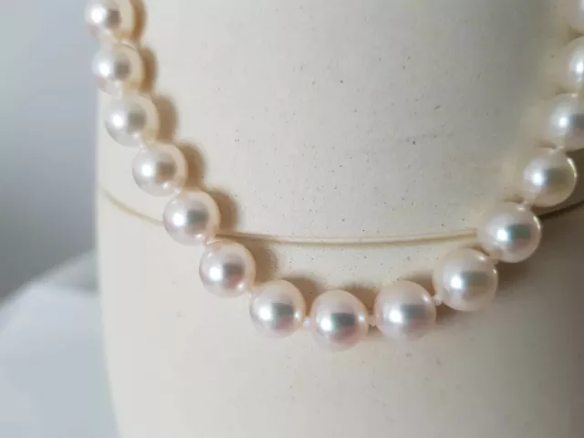Collana Perle Coltivate Giapponesi Autentiche Qualità Extra, Fermaglio Oro