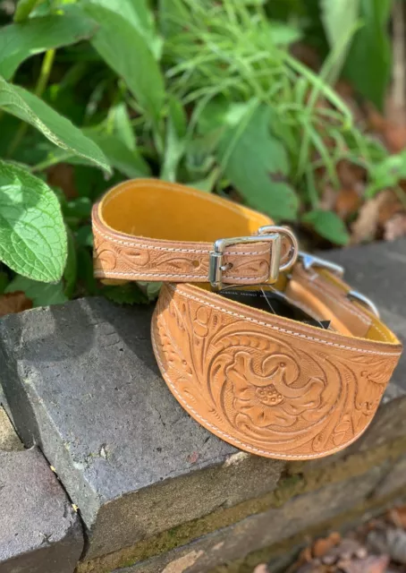 Vegetable Tanned Leather Whippet Saluki Greyhound Lurcher Collar Hand Tooled