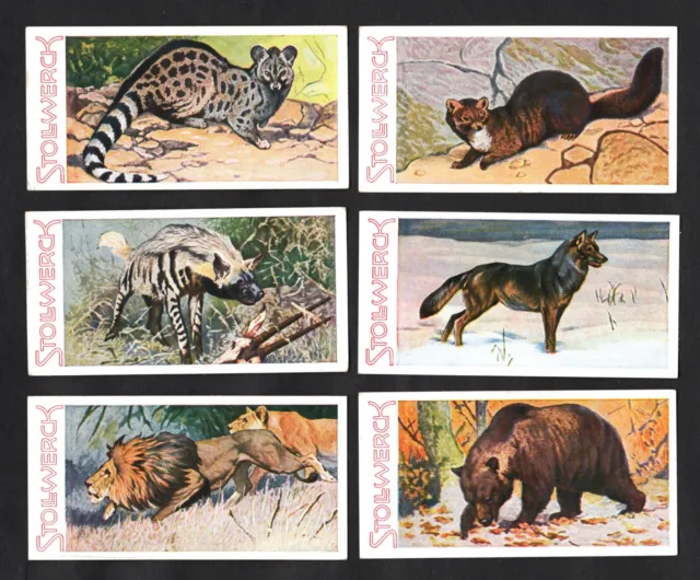 Stollwerck Animal Kingdom 1932 Album Ser 12 German Card Set Wolf Lion Bear Hyena