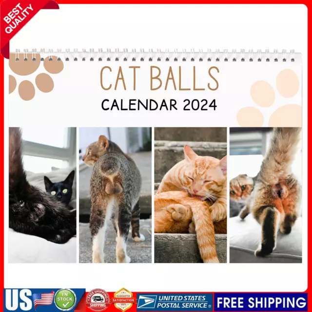 2024 FUNNY BIG Cat Buttholes Cats Wall Calendar , Thick Paper 12 Month