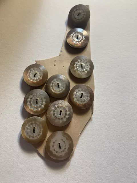 10  Mother of Pearl MOP Buttons Matching Lot 2 Hole Etched 5/8