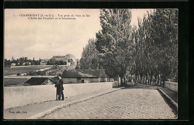 CPA Champrosay, Vue prise du Pont Ris - L´Allee des Peupliers et le Sanatorium