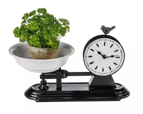 Kitchen Scale Clock Black White Enamel Bird Home Decor