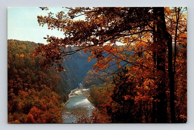 Letchworth State Park Castile New York Genesee River Gorge Chrome Postcard
