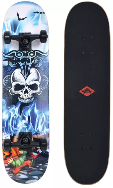 SCHILDKRÖT Skateboard Grinder 31" Inferno