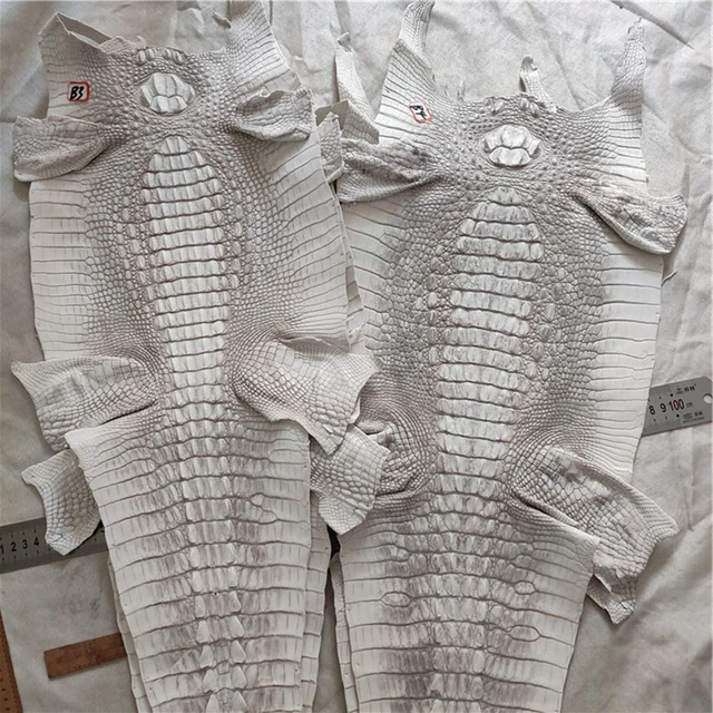 Gran Blanco Real Piel de Cocodrilo Caimán Cuero Artesanal Cueros para Bolsos Zapatos