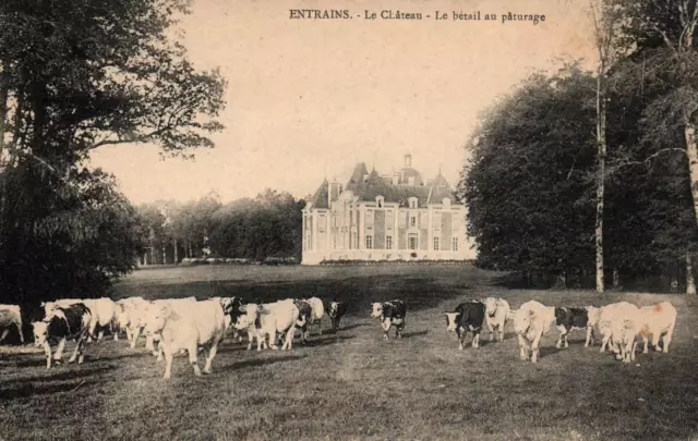 CPA 58 - ENTRAINS (Nièvre) - Le Château - Le Bétail au Pâturage