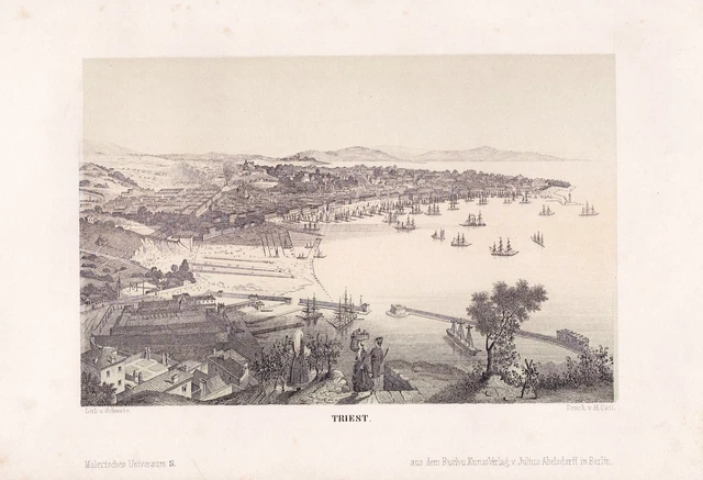 Trieste Italia Aspecto Litografía Litio Schwabe Osti 1850