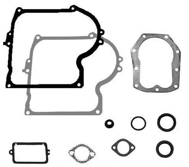 Set Guarnizioni Per Motori BRIGGS & STRATTON 590508 (ex 794307 - 497316 - Foto 2