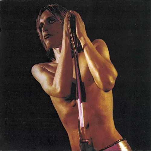 Iggy And The Stooges - Raw Power - Iggy And The Stooges CD RWVG The Cheap Fast