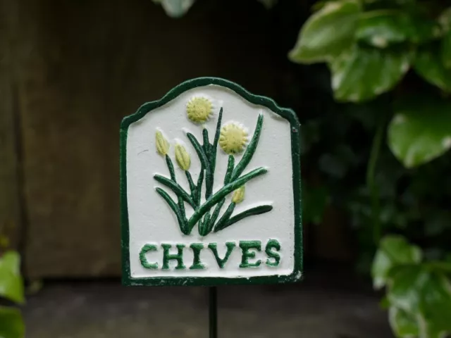 Herb Signs Cast Iron Markers Basil Chives Mint Parsley Sage Thyme - Hand Painted