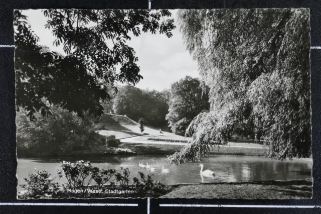 AK Hagen Westfalen Stadtgarten 1955 gelaufen Notopfer Berlin Arnsberg