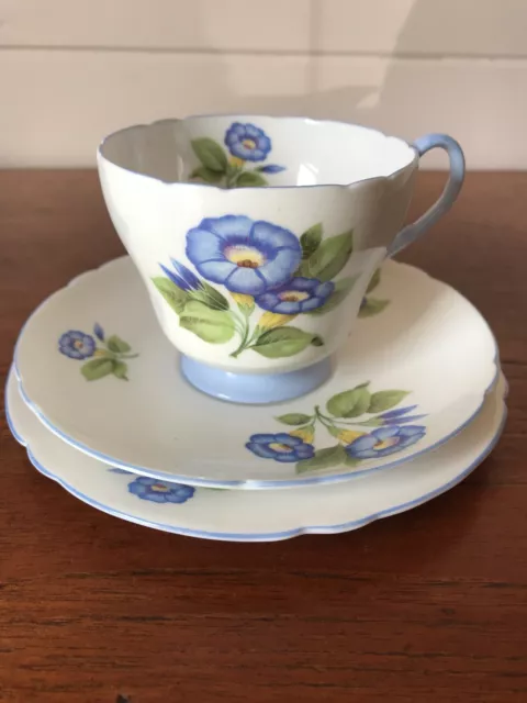 Vintage Shelley Morning Glory Tea Trio Of Cup Plate and Saucer Made in England