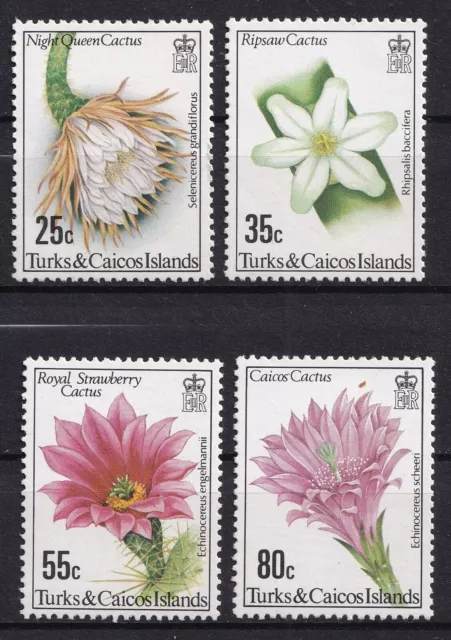 Isla de las Islas Turcas y Caicos 1981 cactus con flores muy bonito conjunto completo montado sin montar o nunca montado