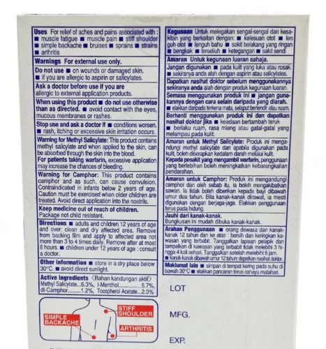 2 x 10 Pcs. Salonpas Effective Aches Pain Relief Patch Plaster Neck Shoulders 2