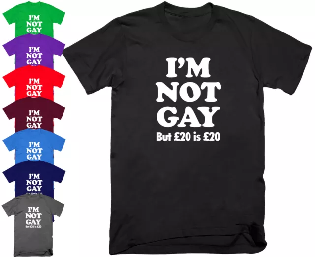 T-shirt top IM NON GAY MA £20 IS £20 divertente scherzo sarcastico rude novità S-5XL