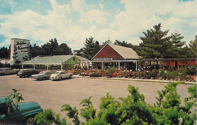 Hopkinton MA, Weston Nursery, Greenhouse, 1960's, Cars,  Main Street, Roadside