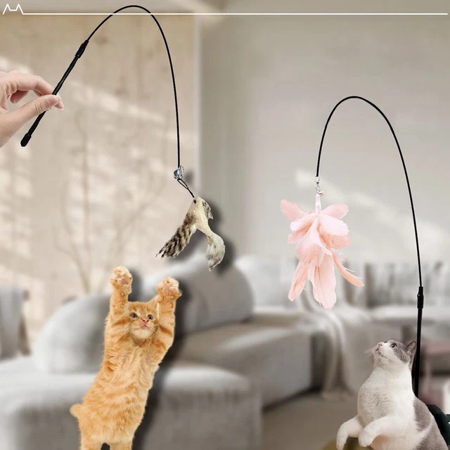 Oiseau Plume de teaser Chat Chaton Jouets Bâton Jouet Bou de chasse à fil
