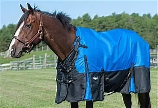 Horse Turnout Sheet - 1680D - Snuggit - Waterproof Poly - 69" to 84" - 3 Colors 2