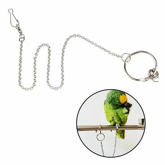 Anello gamba pappagallo catena piede caviglia uccellino all'aperto supporto attività allenamento volo*/t