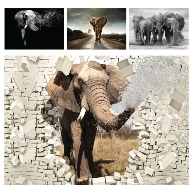 Vlies Fototapete 3D Effekt Elefant Afrika Tiere Wandtapete Natur Wohnzimmer XXL